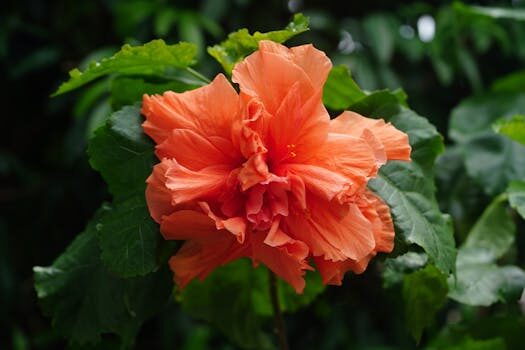 Abogados en Asesor.Legal doble imposicion internacional en el irpf como evitar pagar dos veces 2