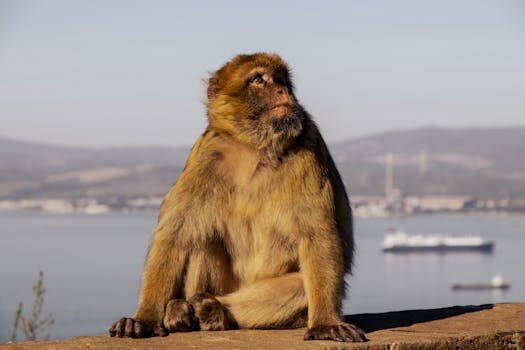 Abogados en Asesor.Legal empresas familiares como te asesora un abogado mercantil en protocolo familiar y sucesion 3