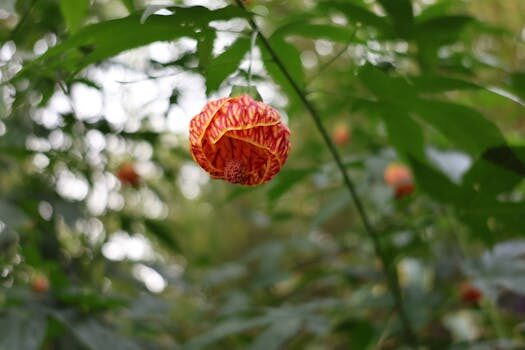 Abogados en Asesor.Legal energia verde como puede ayudarte un abogado en licencias subvenciones y ppa 4