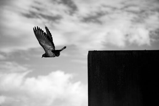 Abogados en Asesor.Legal equipaje perdido y retrasos como reclamar a la aerolinea en 2026 2