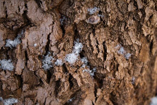 Abogados en Asesor.Legal | Asesoría legal para Errores habituales en el modelo 145 que provocan retenciones incorrectas Abogados en Asesor.Legal errores habituales en el modelo 145 que provocan retenciones incorrectas 4