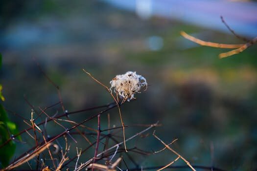 Abogados en Asesor.Legal | Asesoría legal para Errores habituales en el modelo 145 que provocan retenciones incorrectas Abogados en Asesor.Legal errores habituales en el modelo 145 que provocan retenciones incorrectas 5