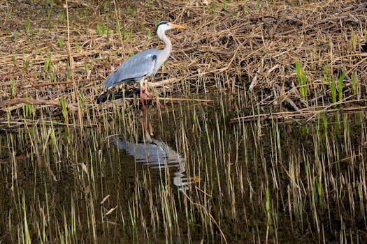 Abogados en Asesor.Legal | Asesoría legal para Estafa bancaria internacional: cómo reclamar al banco, bloquear transferencias y recuperar dinero Abogados en Asesor.Legal estafa bancaria internacional como reclamar al banco bloquear transferencias y recuperar dinero 1