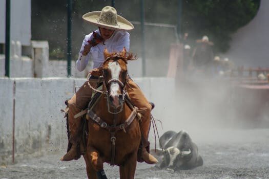 Abogados en Asesor.Legal expulsion en extranjeria que hacer si te abren un procedimiento en 2026 1