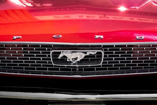 Abogados en Asesor.Legal expulsiones del territorio como te asesora un abogado para recurrirlas y ganar tiempo legal 3