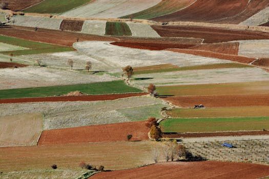 Abogados en Asesor.Legal | Asesoría legal para Fiscalidad agraria: cuándo necesitas un abogado para optimizar impuestos en el campo Abogados en Asesor.Legal fiscalidad agraria cuando necesitas un abogado para optimizar impuestos en el campo 2