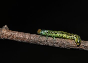 Abogados expertos en errores médicos con secuelas permanentes