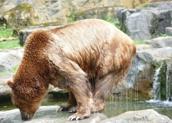 Podemos ayudarte a reclamar el complemento de brecha de género si te lo han denegado