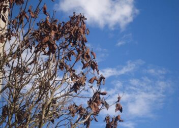 Somos especialistas en negligencias médicas con daños irreversibles