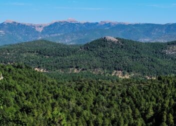 Asesoría jurídica en Albacete para revisar tu pensión y el complemento de brecha de género