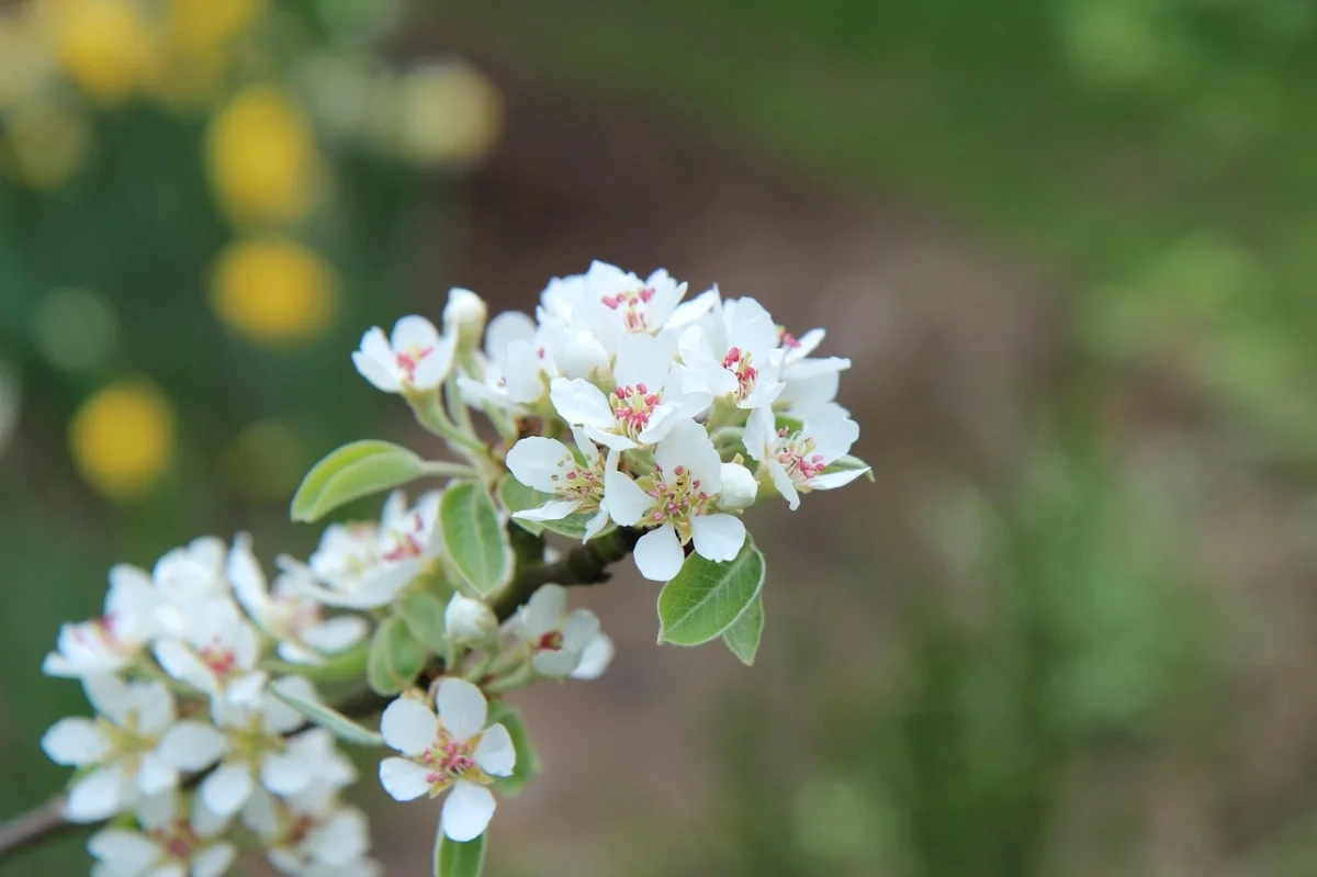 Asesoramiento legal sin coste con inteligencia artificial para multas