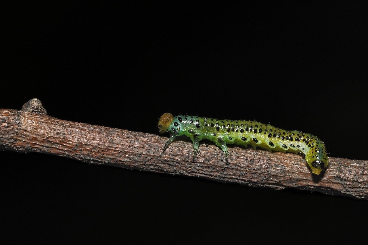 Abogados expertos en errores médicos con análisis de viabilidad previo