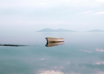 Abogados en Asesor.Legal | Asesoría legal para Reclamar fallo AdBlue Jaguar en Murcia modo emergencia Reclamar fallo AdBlue Jaguar en Murcia modo emergencia