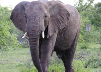 Expertos legales en mala praxis médica y daños morales