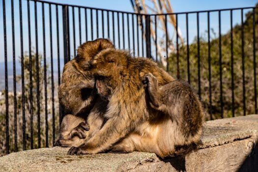 Abogados en Asesor.Legal gastos de comunidad en alquiler quien debe pagarlos y como reclamarlos 4