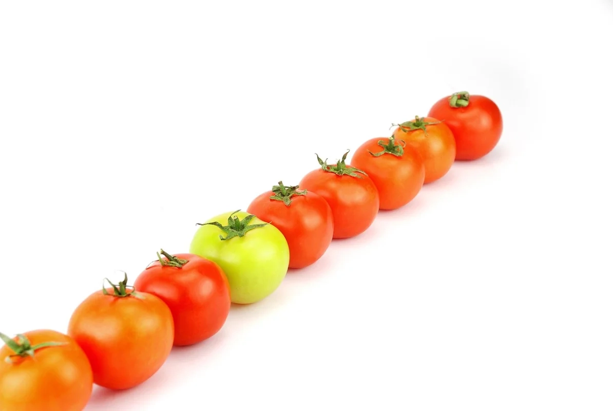 IA para interpretar términos de garantía que confunden