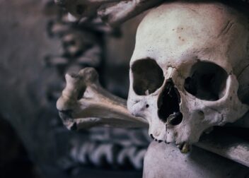 Cómo preparar tu cronología del caso en una hora para el abogado