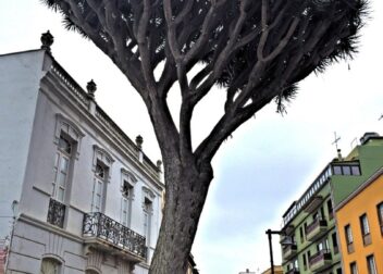 Cómo pedir la historia clínica completa en obstetricia y traumatología sin lagunas