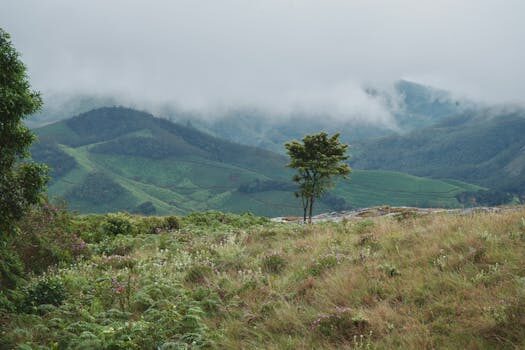 Abogados en Asesor.Legal historiales medicos enviados sin cifrar como denunciar y exigir medidas para proteger tu salud 1