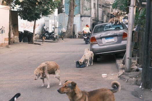 Abogados en Asesor.Legal | Asesoría legal para Impugnación de acuerdos vecinales: guía práctica para ganar en juicio Abogados en Asesor.Legal impugnacion de acuerdos vecinales guia practica para ganar en juicio 4