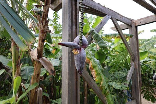 Abogados en Asesor.Legal indemnizaciones agrarias como puede ayudarte un abogado a reclamarlas 4