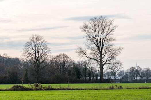 Abogados en Asesor.Legal instrumentos de ordenacion del territorio como te lo explica un abogado para tu parcela 2