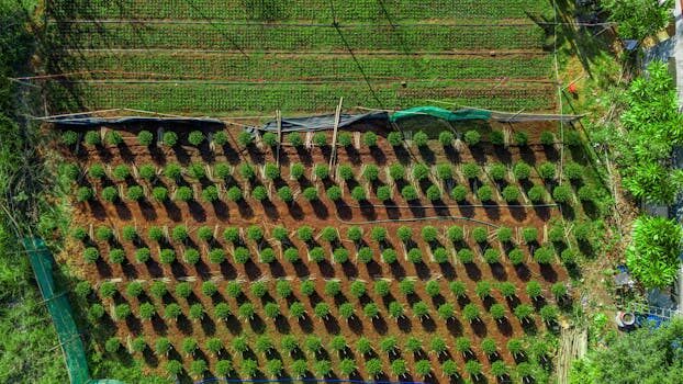 Abogados en Asesor.Legal instrumentos de ordenacion del territorio como te lo explica un abogado para tu parcela 3