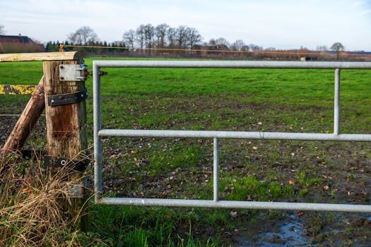 Abogados en Asesor.Legal intercambio masivo de datos fiscales como denunciar y protegerte 1