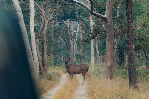 Abogados en Asesor.Legal | Asesoría legal para Joint ventures: por qué es clave que un abogado redacte el pacto de socios Abogados en Asesor.Legal joint ventures por que es clave que un abogado redacte el pacto de socios 1