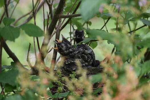 Abogados en Asesor.Legal jurisdiccion de menores como te asesora un abogado cuando el investigado es un hijo o familiar menor de edad 1