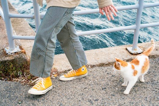 Abogados en Asesor.Legal | Asesoría legal para Lesiones graves: cómo te asesora un abogado en incapacidades y pensiones Abogados en Asesor.Legal lesiones graves como te asesora un abogado en incapacidades y pensiones 1