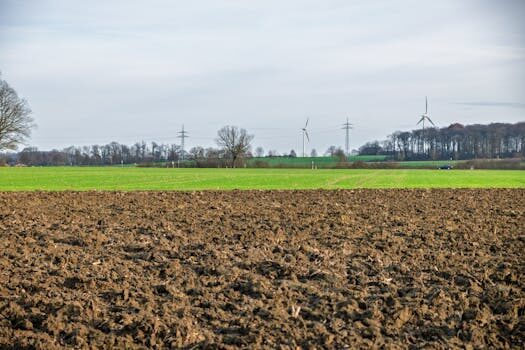 Abogados en Asesor.Legal | Asesoría legal para Mala praxis en productos financieros complejos: cómo reclamar pérdidas por mala comercialización Abogados en Asesor.Legal mala praxis en productos financieros complejos como reclamar perdidas por mala comercializacion 3