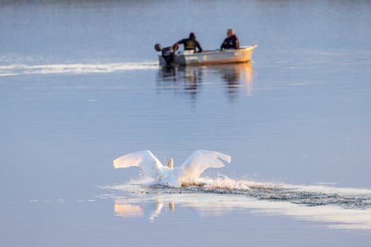 Abogados en Asesor.Legal maltrato animal como puede ayudarte un abogado a denunciar o a defenderte en procesos por este delito 1