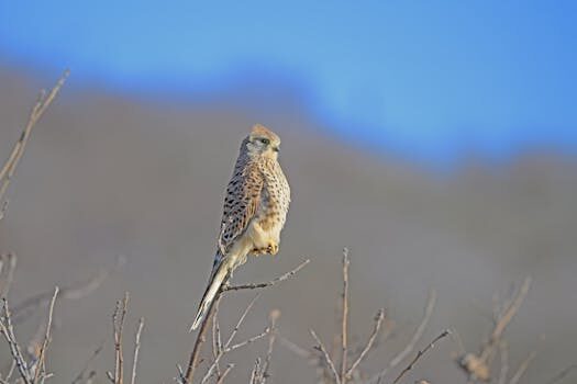 Abogados en Asesor.Legal marketing recopilando datos sin base legal como bloquear el uso de tus datos y reclamar ante aepd 2