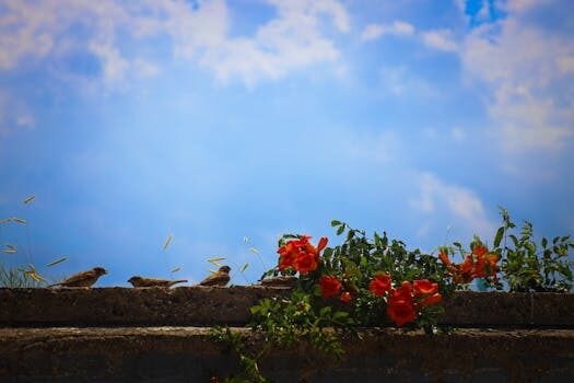 Abogados en Asesor.Legal | Asesoría legal para Matrimonio canónico: cómo te asesora un abogado canonista en nulidades Abogados en Asesor.Legal matrimonio canonico como te asesora un abogado canonista en nulidades ante tribunales eclesiasticos 2