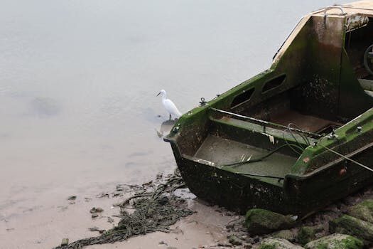 Abogados en Asesor.Legal | Asesoría legal para Matrimonio canónico: cómo te asesora un abogado canonista en nulidades Abogados en Asesor.Legal matrimonio canonico como te asesora un abogado canonista en nulidades ante tribunales eclesiasticos 4