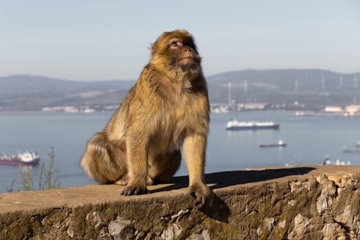 Abogados en Asesor.Legal mediacion en empresa familiar soluciones para conflictos entre socios y familiares en 2026 2