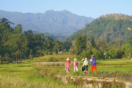 Abogados en Asesor.Legal mercantil cuando tu empresa necesita un abogado mercantil y no solo una gestoria 4