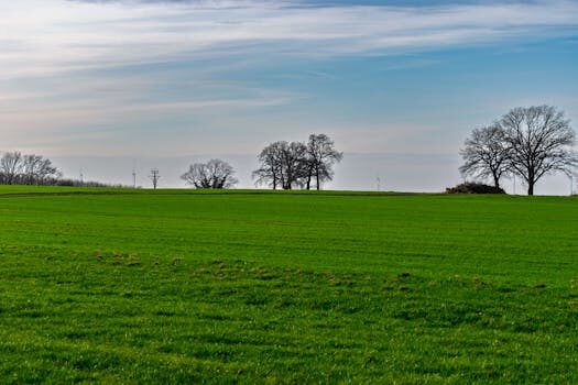 Abogados en Asesor.Legal | Asesoría legal para Movilidad funcional: cuándo conviene acudir a un abogado si la empresa cambia tus funciones sin acuerdo Abogados en Asesor.Legal movilidad funcional cuando conviene acudir a un abogado si la empresa te cambia de funciones sin acuerdo 1