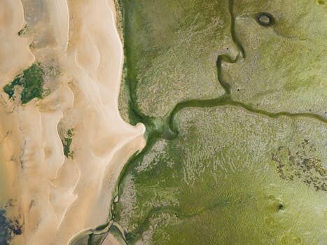 Abogados en Asesor.Legal movilidad geografica como te asesora un abogado al valorar un traslado forzoso o una posible extincion indemnizada 2