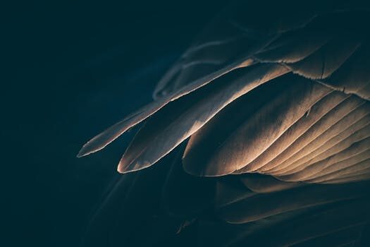 Abogados en Asesor.Legal multa como recurrir en via contencioso administrativa en 2026 3