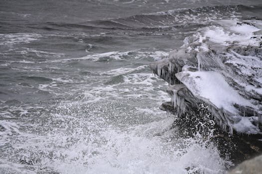 Abogados en Asesor.Legal objecion de conciencia en eutanasia como ejercerla y que proteccion tienes 2
