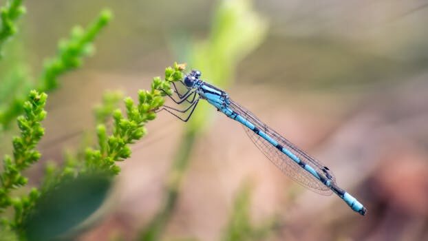 Abogados en Asesor.Legal obras en elementos comunes que puedes hacer si no estas de acuerdo i 2026 4
