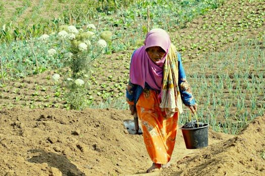 Abogados en Asesor.Legal obras literarias cuando conviene registrar con un abogado y como defender tu libro 4