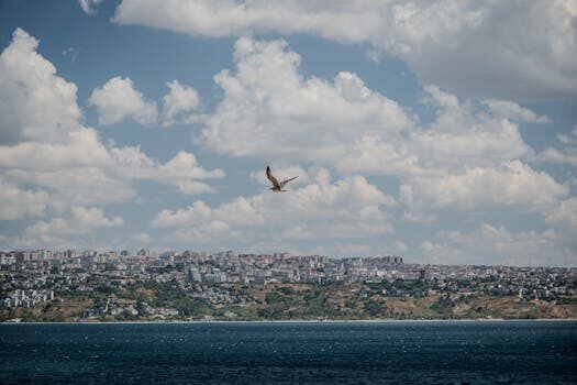 Abogados en Asesor.Legal orden de alejamiento cuando se puede pedir y que implica en 2026 3