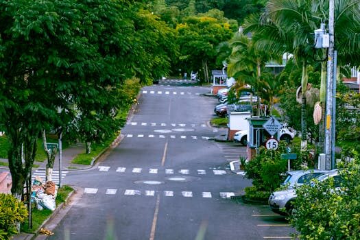 Abogados en Asesor.Legal pasos de peatones normativa y cuando puedes denunciar si hay riesgo en 2026 1