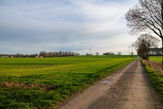 Abogados en Asesor.Legal | Asesoría legal para Plan de eficiencia judicial: cómo reducir tiempos de juicio y herramientas a usar Abogados en Asesor.Legal plan de eficiencia judicial como reducir tiempos de juicio y que herramientas usar 1
