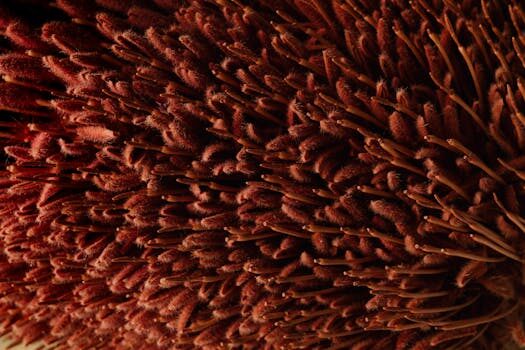 Abogados en Asesor.Legal preferentes bankia claves para ganar la reclamacion y recuperar el dinero 2026 3