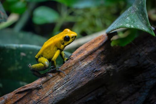 Abogados en Asesor.Legal | Asesoría legal para Preferentes y productos tóxicos: por qué es imprescindible un abogado bancario para reclamar con éxito Abogados en Asesor.Legal preferentes y productos toxicos por que es imprescindible un abogado bancario para reclamar con exito 3