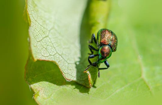 Abogados en Asesor.Legal private client que puede hacer un despacho de abogados por patrimonios familiares y altos patrimonios 2